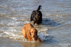 Hundestrand-Norddeich-Ostfriesland-14.3.2020-88