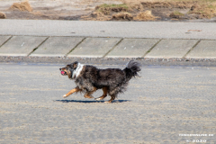 Hundestrand-Norddeich-Ostfriesland-14.3.2020-9