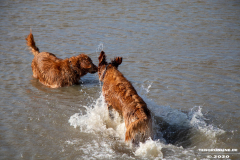 Hundestrand-Norddeich-Ostfriesland-14.3.2020-90