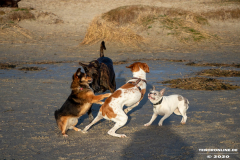 Hundestrand-Norddeich-19.1.2020-10