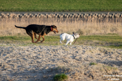 Hundestrand-Norddeich-19.1.2020-13