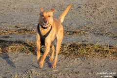 Hundestrand-Norddeich-19.1.2020-14
