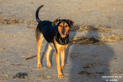 Hundestrand-Norddeich-19.1.2020-15