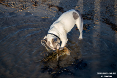 Hundestrand-Norddeich-19.1.2020-16