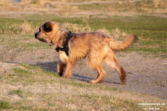 Hundestrand-Norddeich-19.1.2020-18