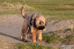 Hundestrand-Norddeich-19.1.2020-19