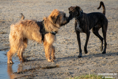 Hundestrand-Norddeich-19.1.2020-20