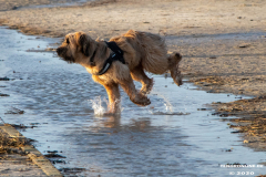 Hundestrand-Norddeich-19.1.2020-22