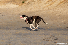 Hundestrand-Norddeich-19.1.2020-5
