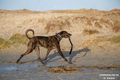 Hundestrand-Norddeich-19.1.2020-8