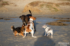 Hundestrand-Norddeich-19.1.2020-9