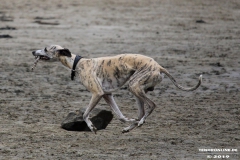 Hundestrand Norddeich 30.5.2019