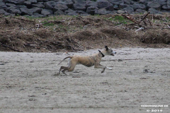 Hundestrand Norddeich 30.5.2019
