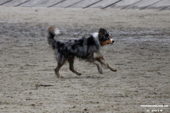 Hundestrand Norddeich 30.5.2019