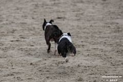 Hundestrand Norddeich 30.5.2019