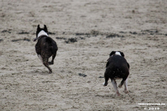 Hundestrand Norddeich 30.5.2019