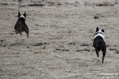 Hundestrand Norddeich 30.5.2019