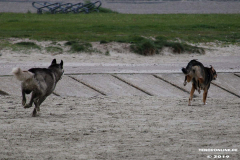 Hundestrand Norddeich 30.5.2019