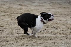 Hundestrand Norddeich 30.5.2019