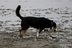 Hundestrand Norddeich 30.5.2019