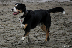 Hundestrand Norddeich 30.5.2019