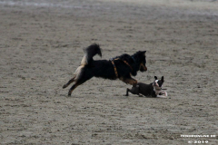 Hundestrand Norddeich 30.5.2019