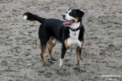 Hundestrand Norddeich 30.5.2019