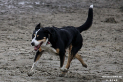 Hundestrand Norddeich 30.5.2019
