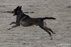 Hundestrand Norddeich 30.5.2019