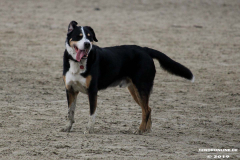Hundestrand Norddeich 30.5.2019