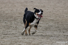 Hundestrand Norddeich 30.5.2019