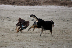 Hundestrand Norddeich 30.5.2019