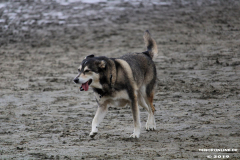 Hundestrand Norddeich 30.5.2019