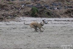 Hundestrand Norddeich 30.5.2019