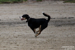 Hundestrand Norddeich 30.5.2019
