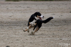 Hundestrand Norddeich 30.5.2019