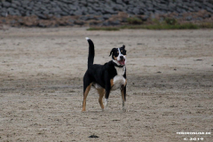 Hundestrand Norddeich 30.5.2019