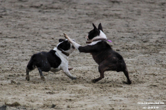 Hundestrand Norddeich 30.5.2019