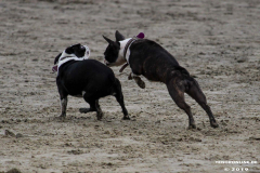 Hundestrand Norddeich 30.5.2019