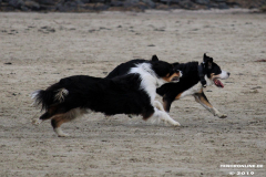 Hundestrand Norddeich 30.5.2019