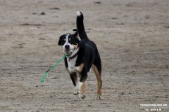 Hundestrand Norddeich 30.5.2019