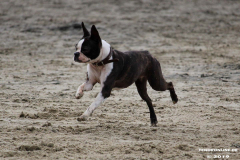 Hundestrand Norddeich 30.5.2019