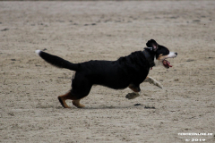 Hundestrand Norddeich 30.5.2019