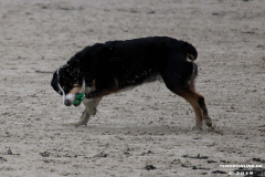 Hundestrand Norddeich 30.5.2019
