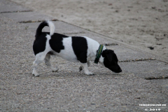 Hundestrand Norddeich 30.5.2019