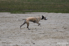 Hundestrand Norddeich 30.5.2019