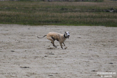Hundestrand Norddeich 30.5.2019
