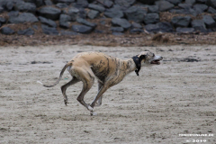 Hundestrand Norddeich 30.5.2019