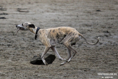 Hundestrand Norddeich 30.5.2019