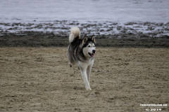 Hundestrand Norddeich 30.5.2019